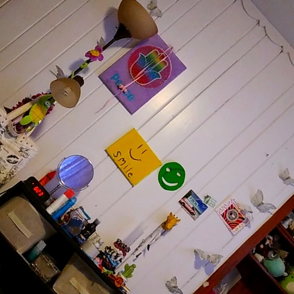 Meet your Posher, Taylor - Picture 1 of 1